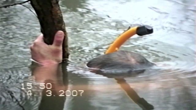 Температура воды