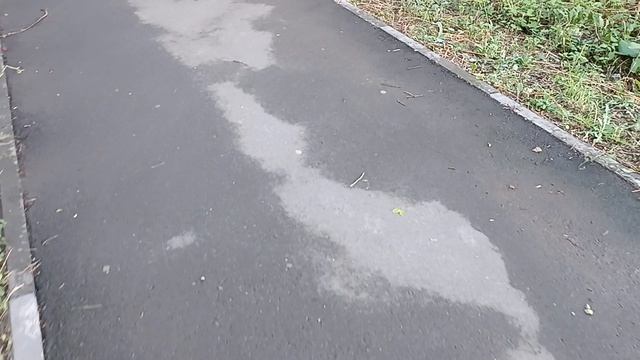 И снова утренние анекдоты