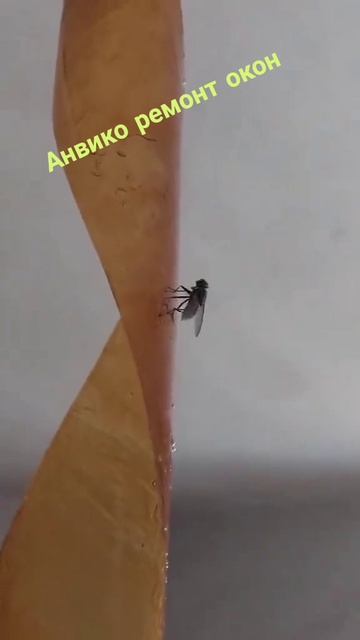 Па могите, спасите, SOS.  Выезжаем по терпите.
