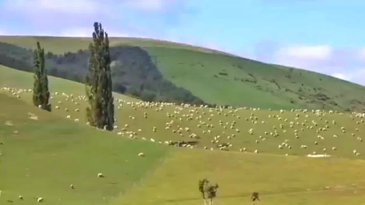 Новая Зеландия: Южный остров...🇳🇿