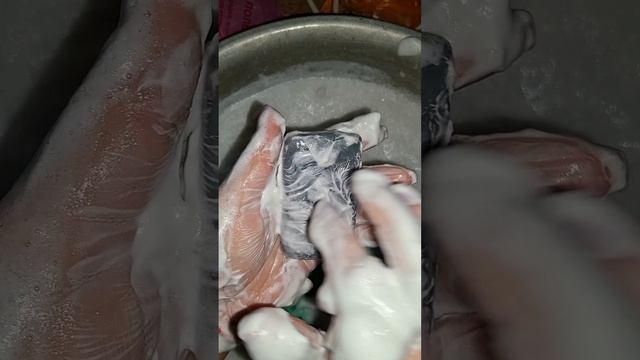 54116.mp4