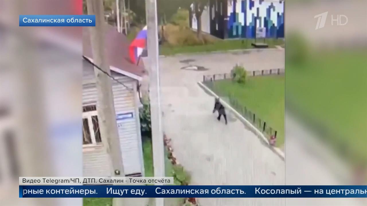 Медведь вышел из леса на улицы Магадана и устроил погоню за человеком