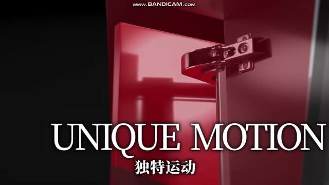 LIN-X450  Петли LIN-X для дверных компланарных систем