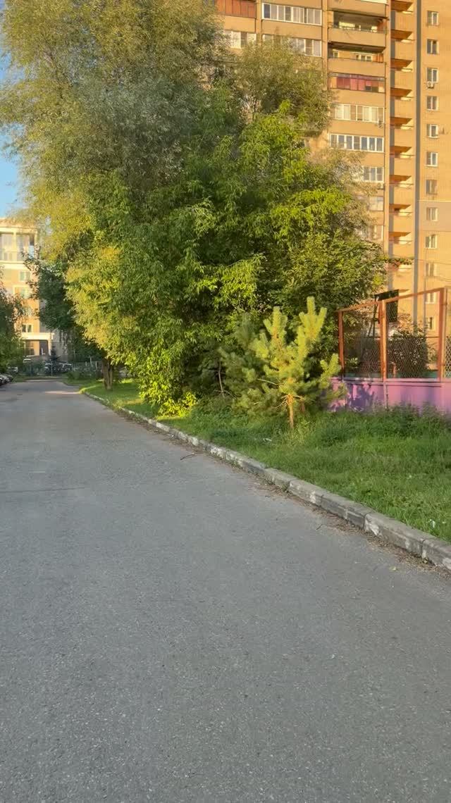 Электросталь, улица Спортивная: тихий день в шумном городе.