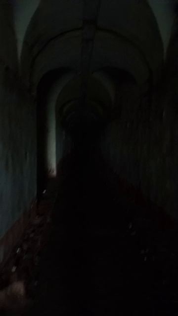 Хорор в реальности