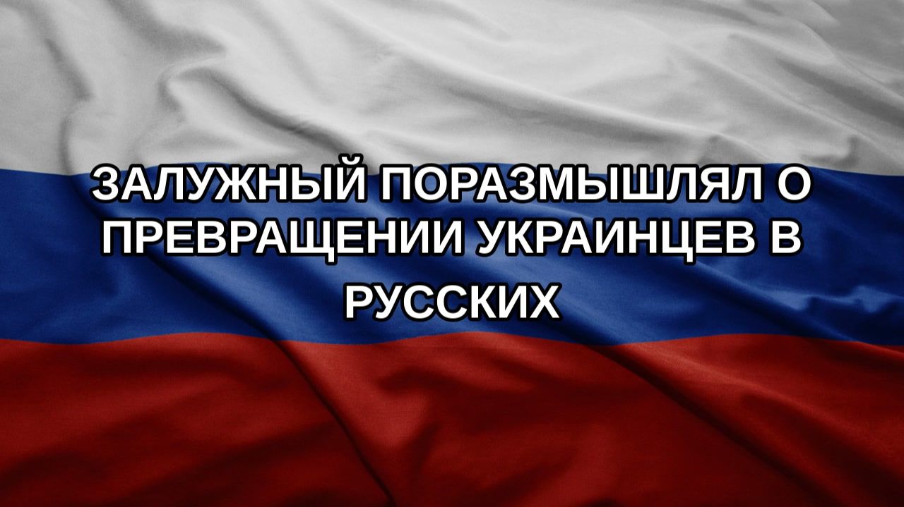 Залужный поразмышлял о превращении украинцев в русских