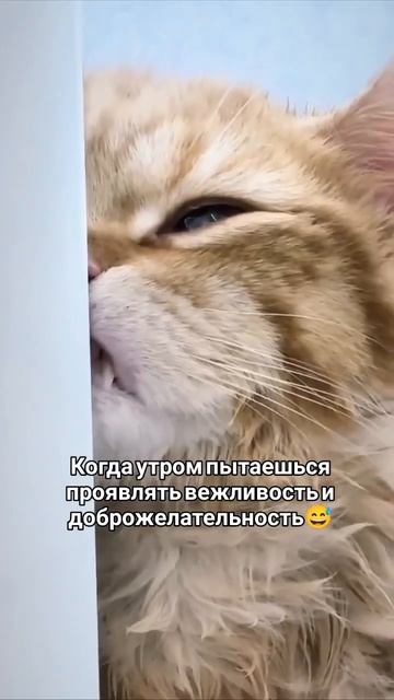 Жизненно 😅