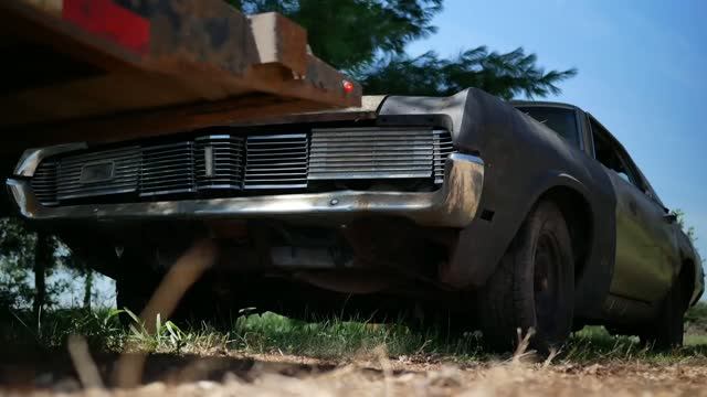 The Cougar