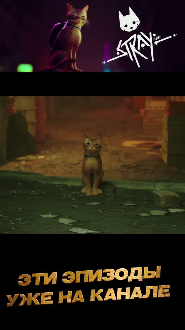 Stray  