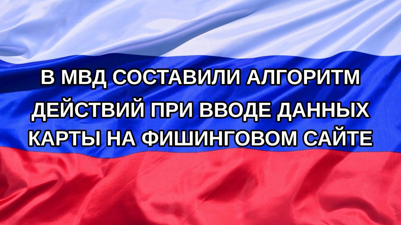 |Н. РФ| В МВД составили алгоритм действий при вводе данных карты на фишинговом сайте