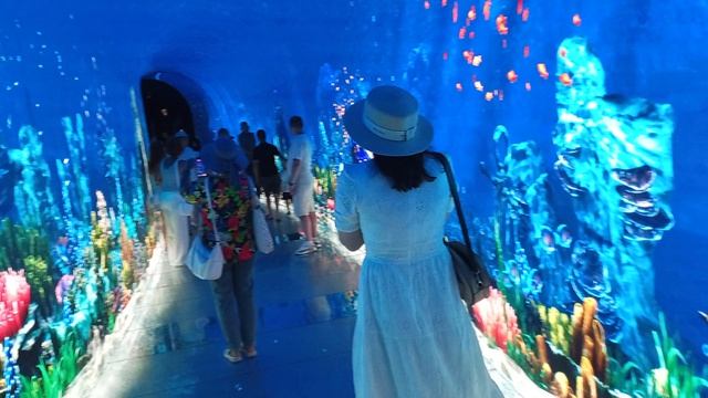 Краснодар.Парк Галицкого.часть-6. 24.08.2026 г.