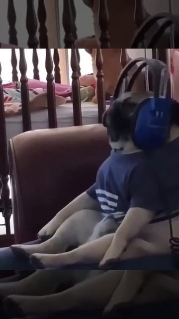 Меломан 🎧))