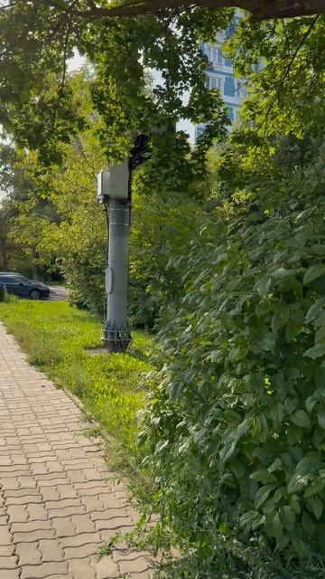 Жулябина: Улицы Электростали, которые стоит увидеть