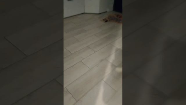 Ну опять для видео поймите