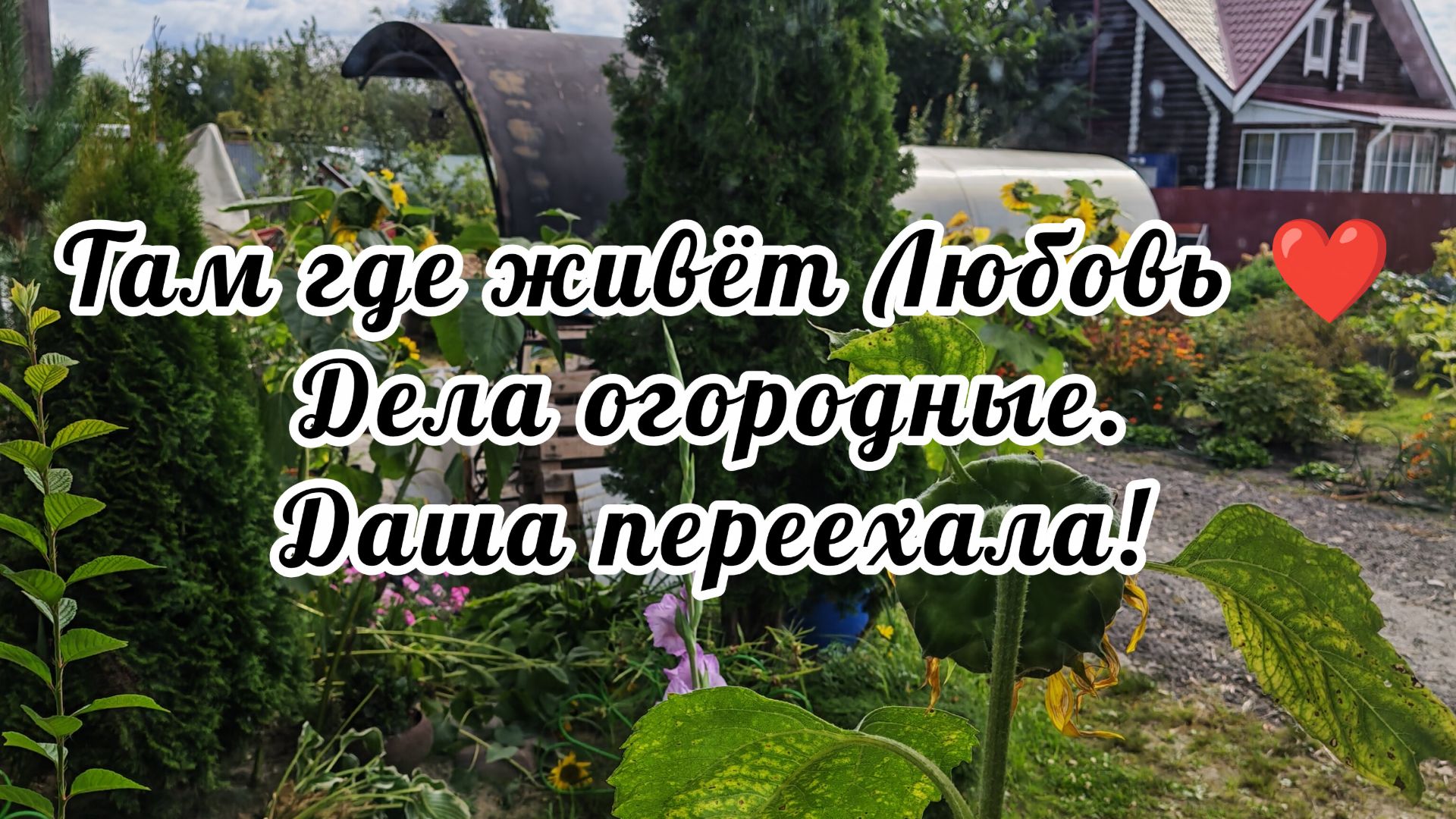 #169 Дела огородные. Даша переехала.