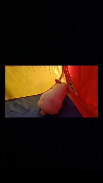 Назови слово которое я не назову! 🪎🌞❤️ Выживи до конца я подписываюсь взаимная подписка на меня!