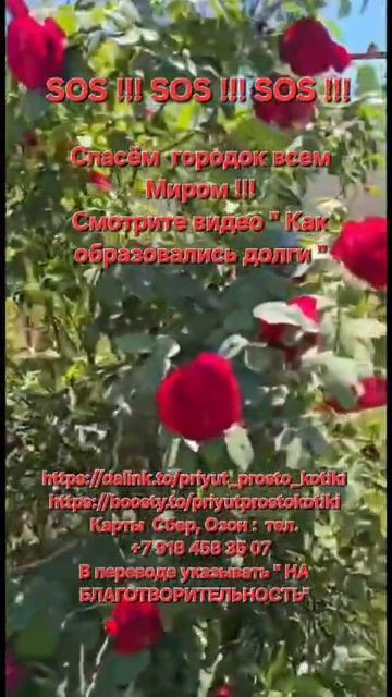 Спасём городок!