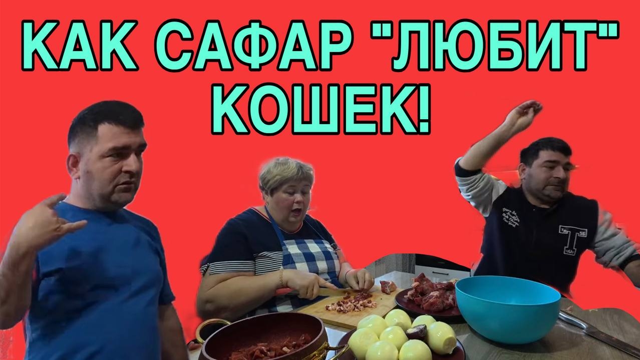 КАК САФАР ЛЮБИТКОШЕК. ОЛЬГА УРАЛОЧКА LIVE.