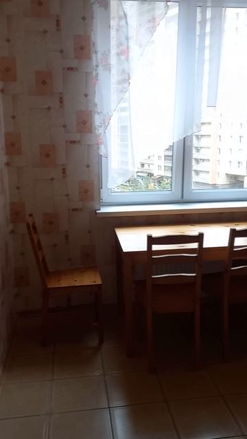 яхтенная видео