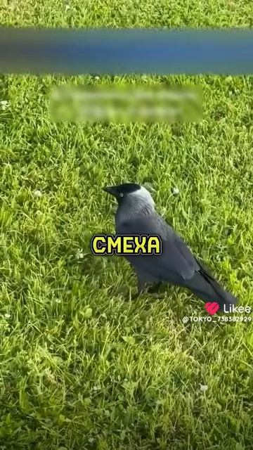 1000012974.mp4