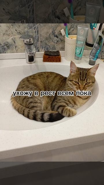 ДОСМОТРИТЕ ДО КОНЦА!!!!