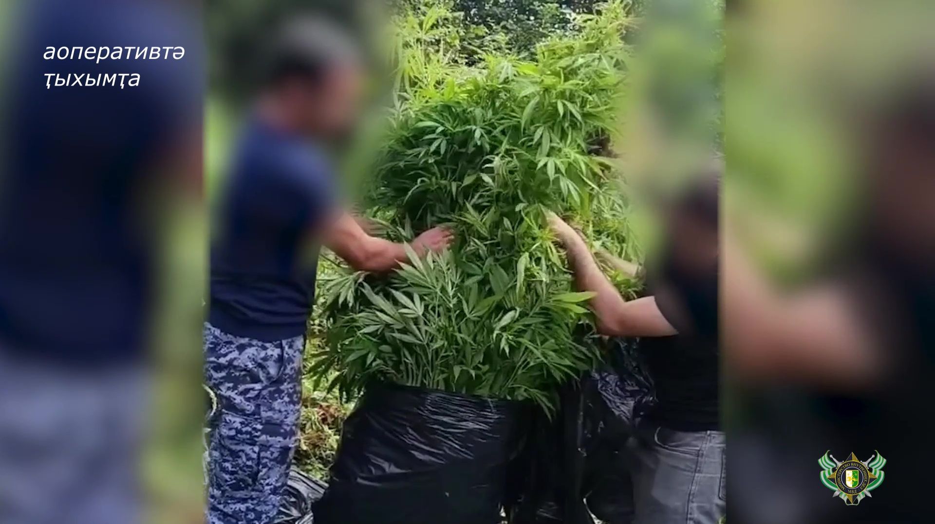 Арҩышьыгатә маҭәашьарқәа злоу  аныцә ашьапқәа имхыуп Тҟәарчал араион ауаҩԥсы.