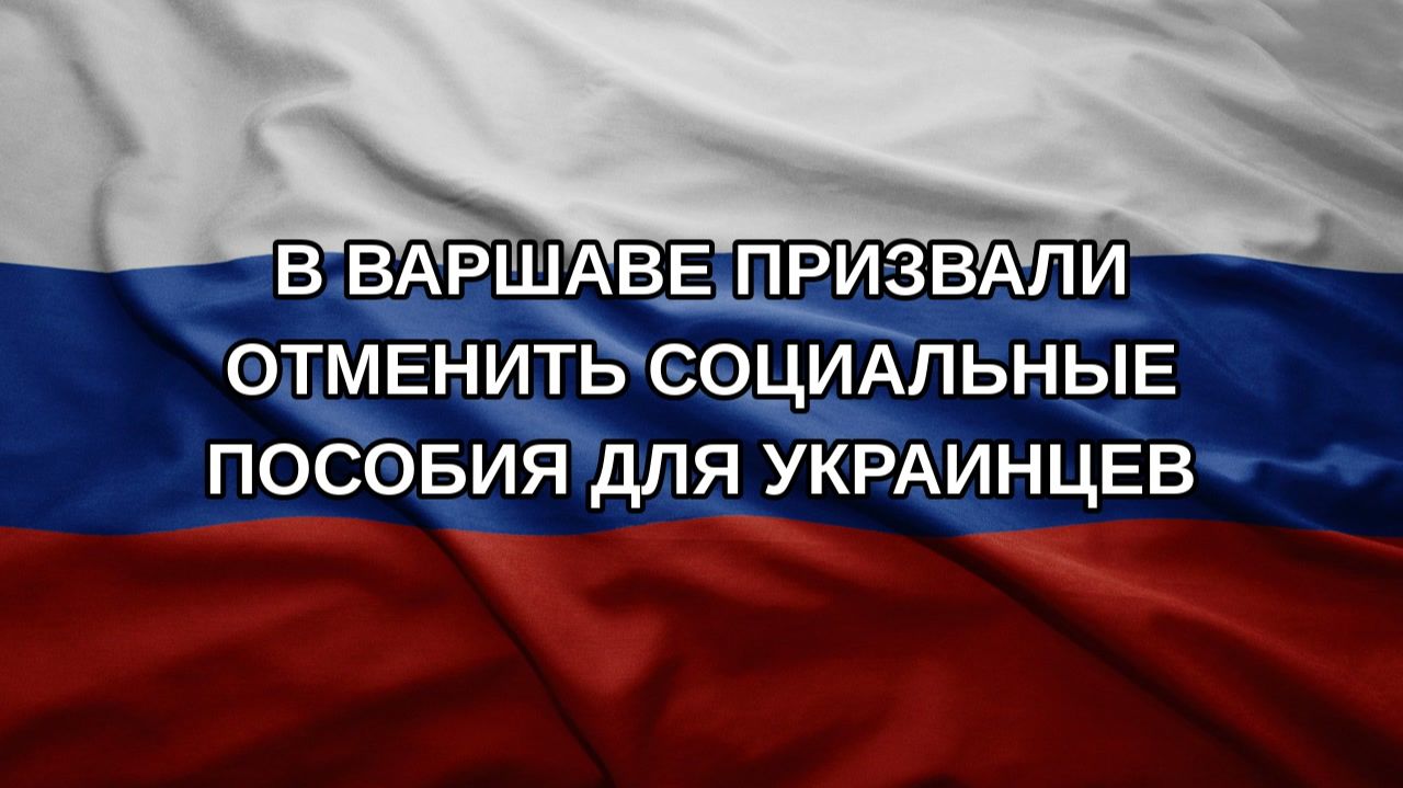 В Варшаве призвали отменить социальные пособия для украинцев