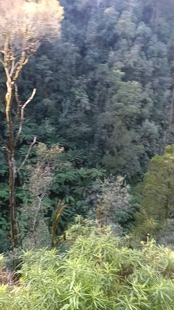 Водопад в Лорне Австралия 23 Августа 26 года