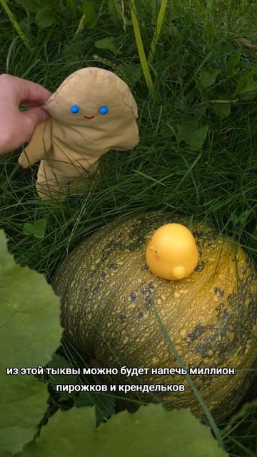 Что можно сделать из тыквы? #детям #ня #мило #игрушки