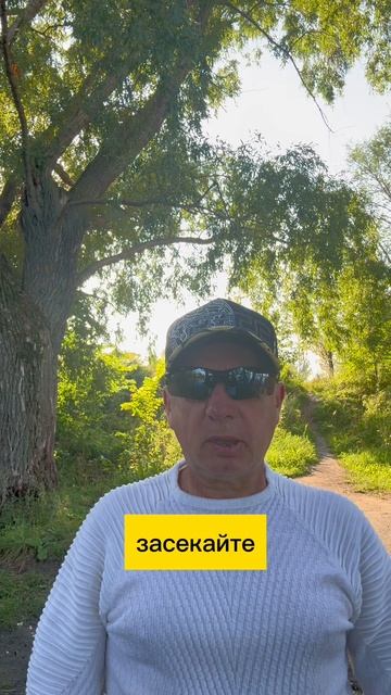 Не ловите журавля-он в небе, держите свою синицу-она у вас в руках