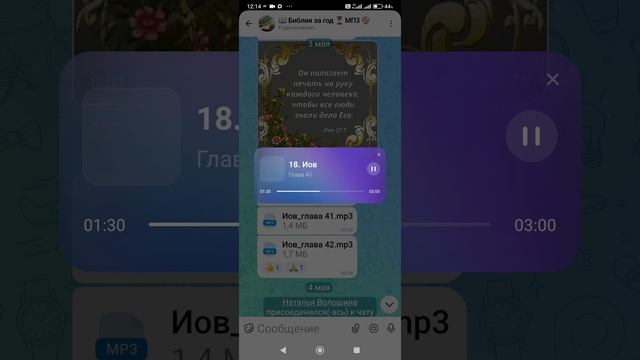 Книга Иова. 41 глава.