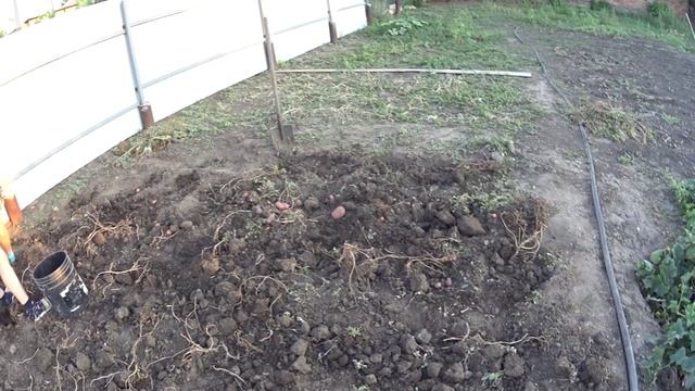 ЖИВЕМ В ДЕРЕВНЕ! ДОКОПАЛИ КАРТОШКУ! ОТПРАВИЛ И ПОЛУЧИЛ ПОСЫЛКИ!! УДАЧНЫЙ ВЫЛОВ НА АВИТО!!