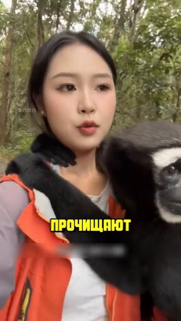 Животные приколы и не только🙂