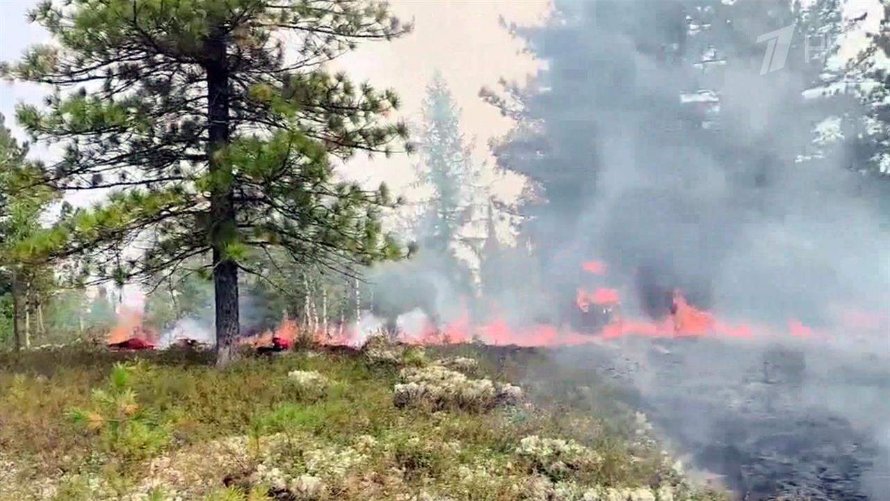 В Ямало-Ненецком автономном округе бушуют природные пожары.