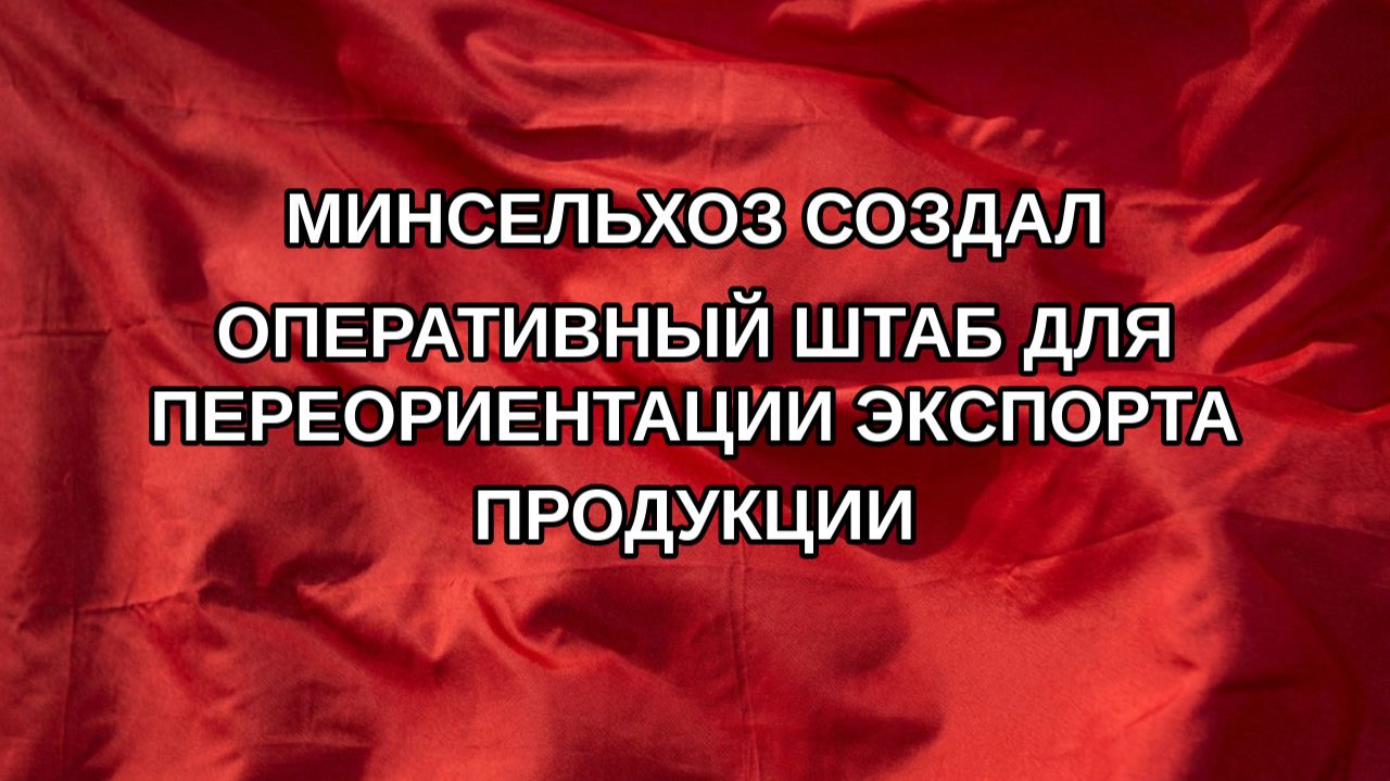 Минсельхоз создал оперативный штаб для переориентации экспорта продукции