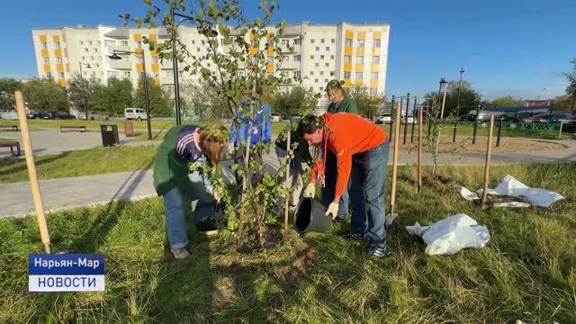 В Нарьян-Маре дали старт акции 