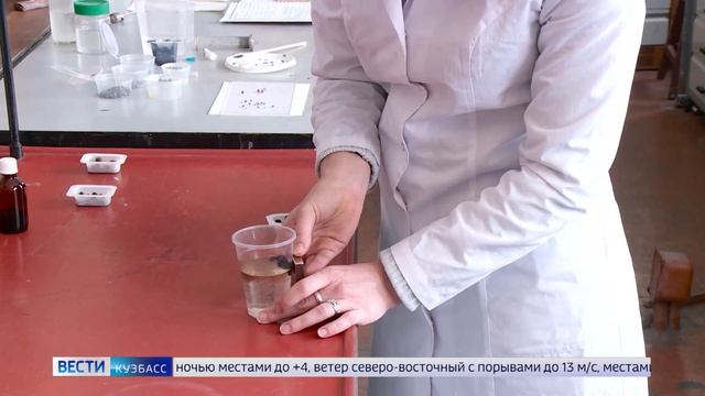 Дайджест новостей Кузбасса за 25.08.2026