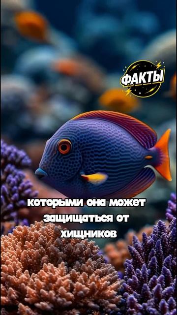 10 фактов часть 74
