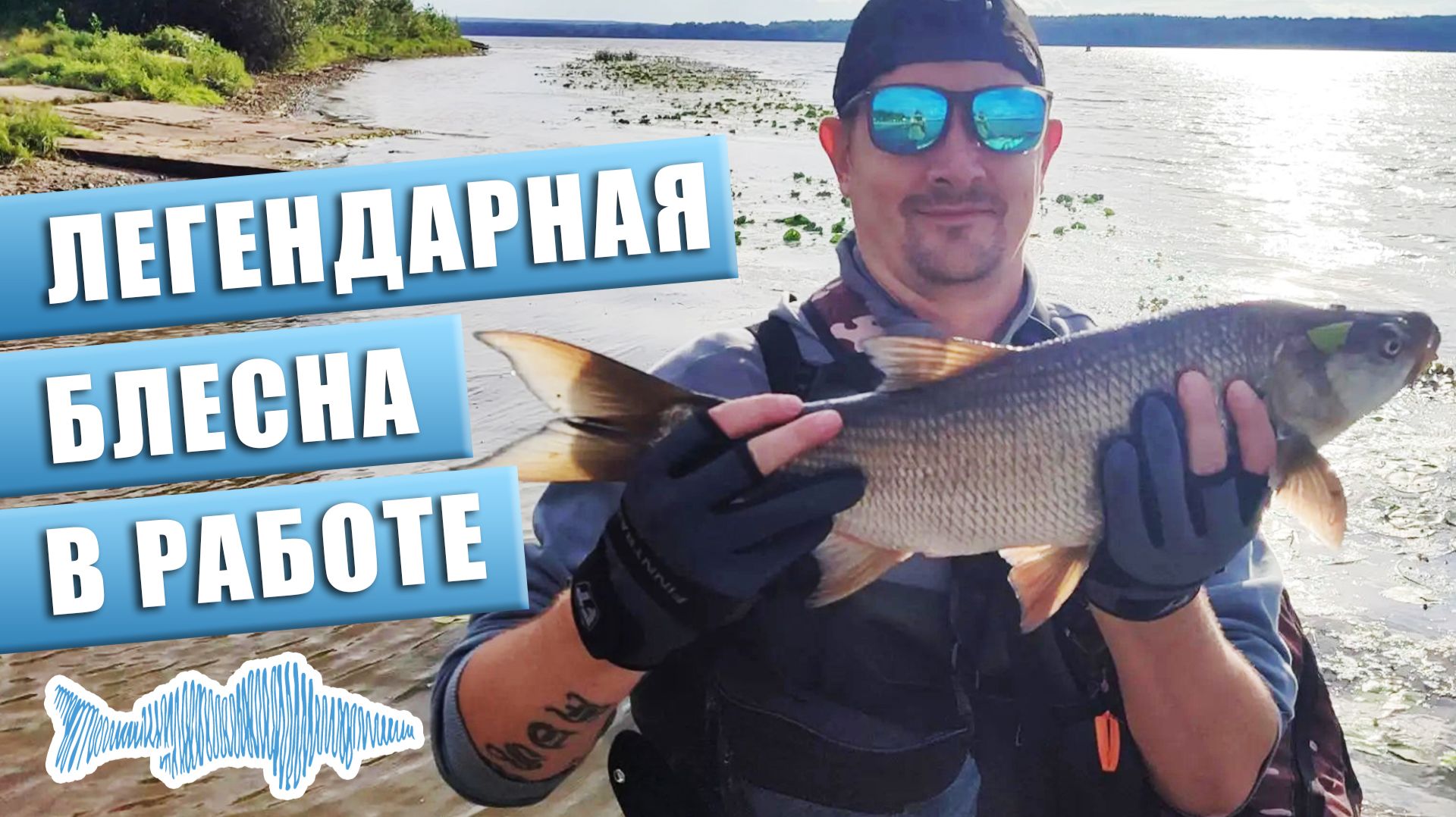 Легендарная блесна в деле. Жерех 5 ЗВЕЗД! Спиннинг с берега в Нижегородской области. Рыбалка август