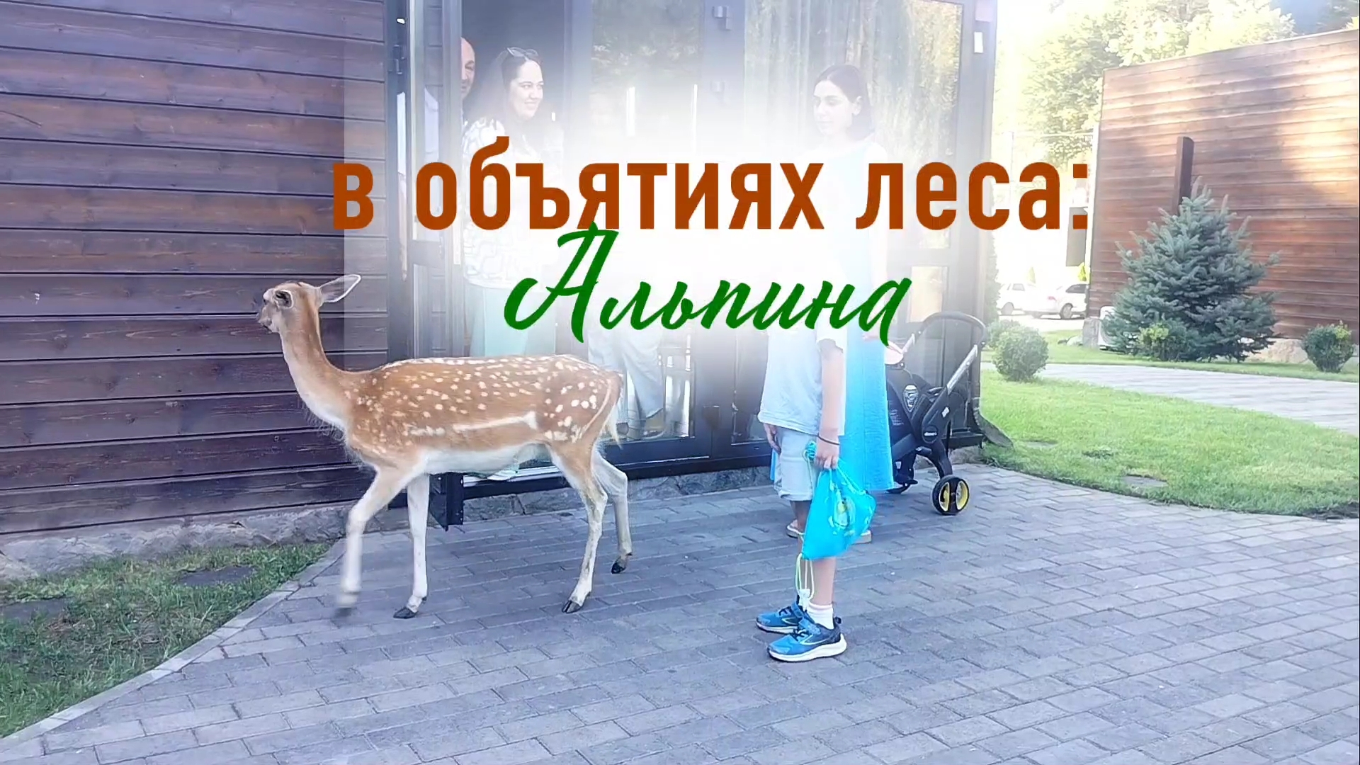 Удивительная Альпина