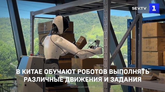 В Китае обучают роботов выполнять различные движения и задания