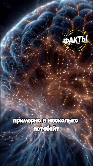 10 фактов часть 68
