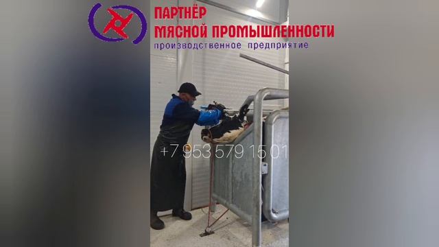 Пистолет оглушительный - станнер пороховой БС