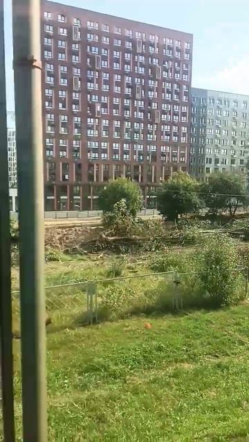 1000244245.mp4