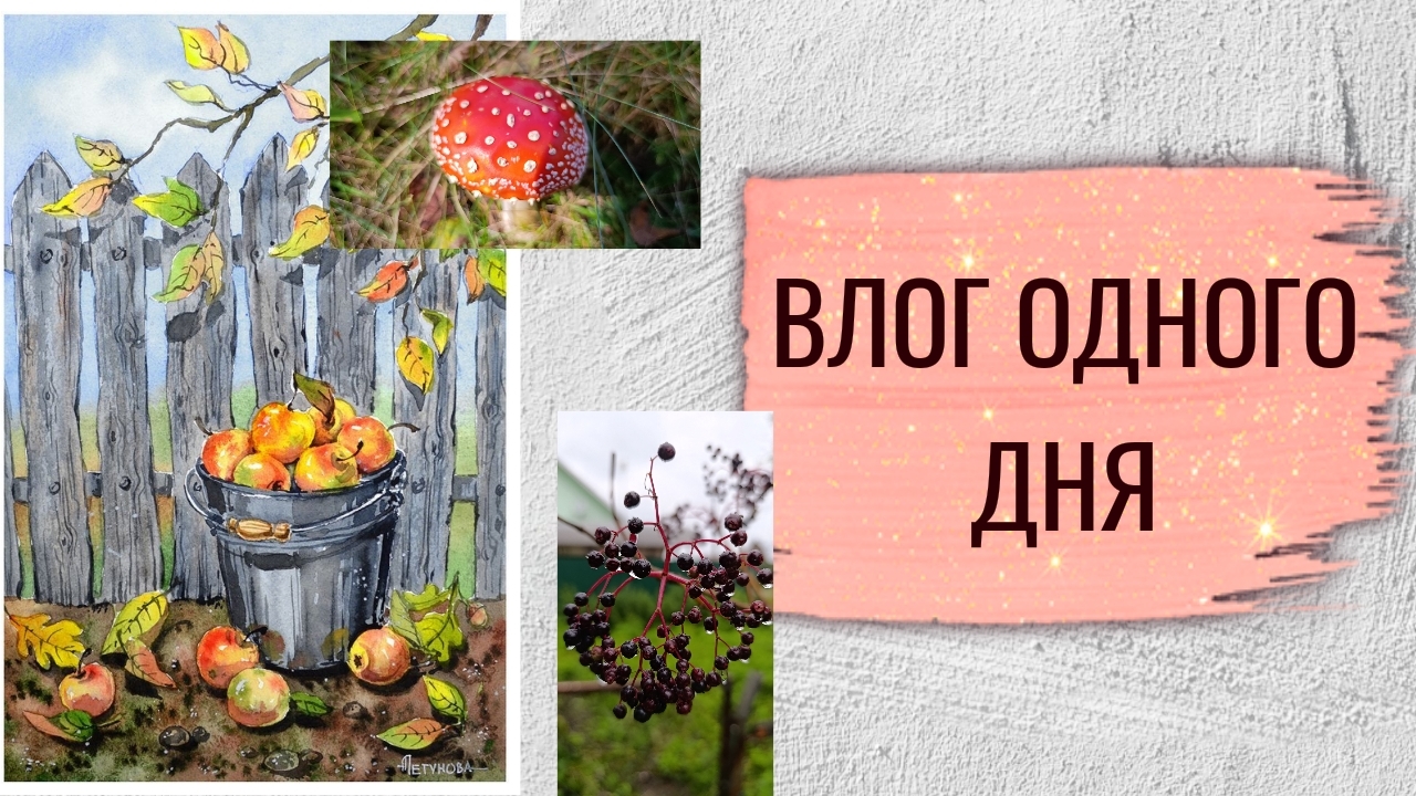 Вышивка. Грибы и книги.Снова всё не по плану.
