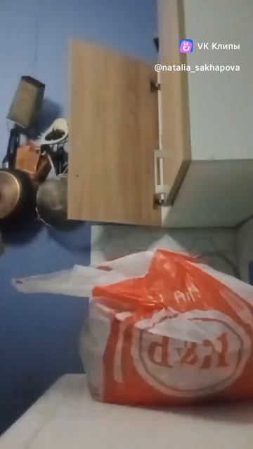 8198.mp4