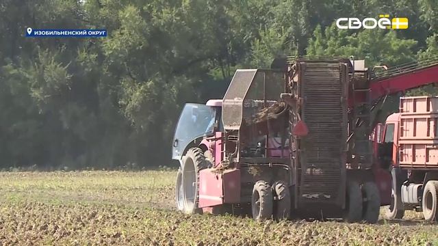 Новости на Своём от 26 августа 2026 г. 8:30