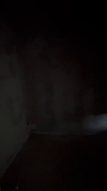 Дом на Спартаке/Челябинск