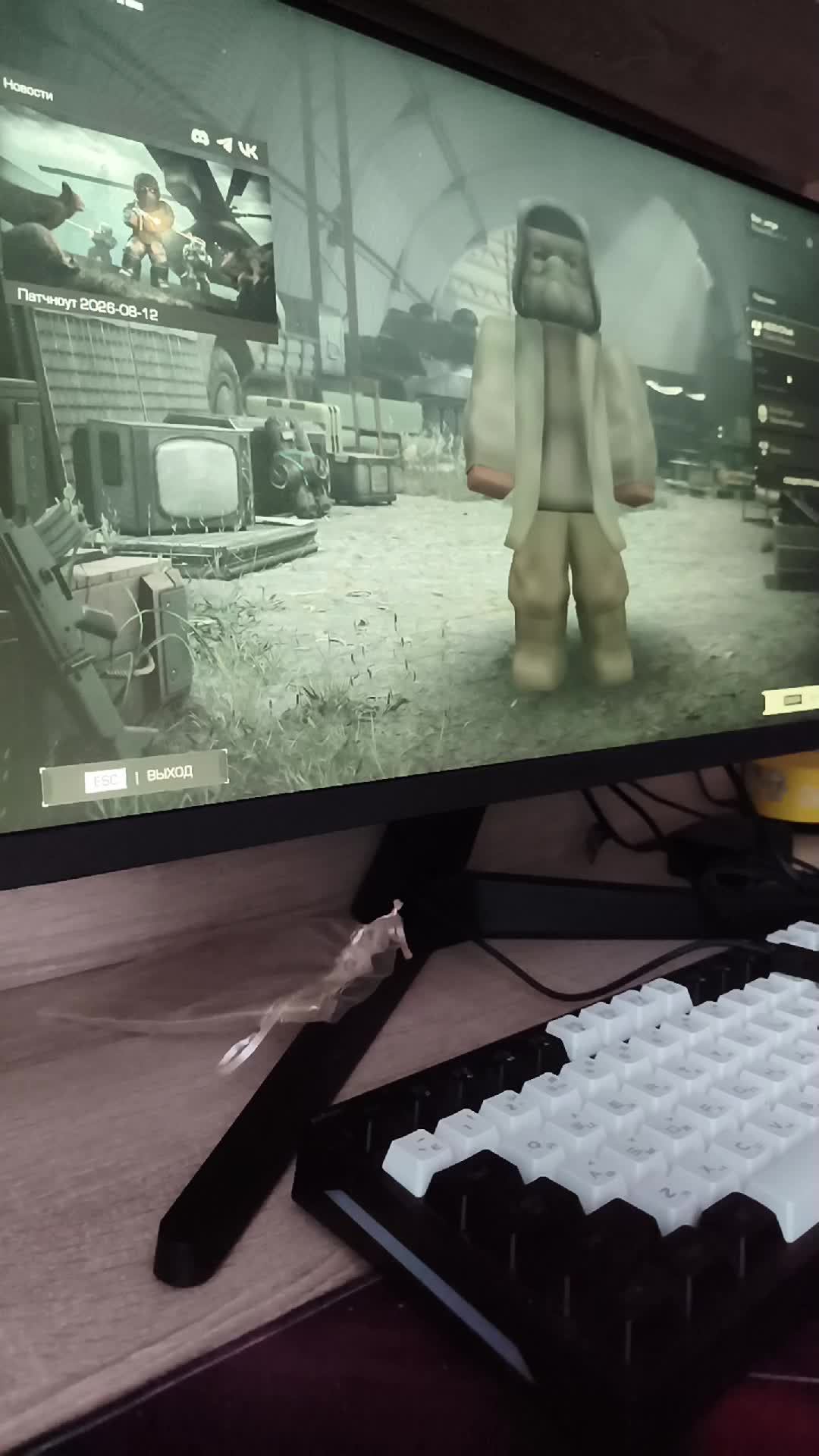 играю в STALZONE