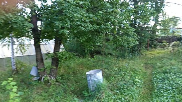 1000005319.mp4